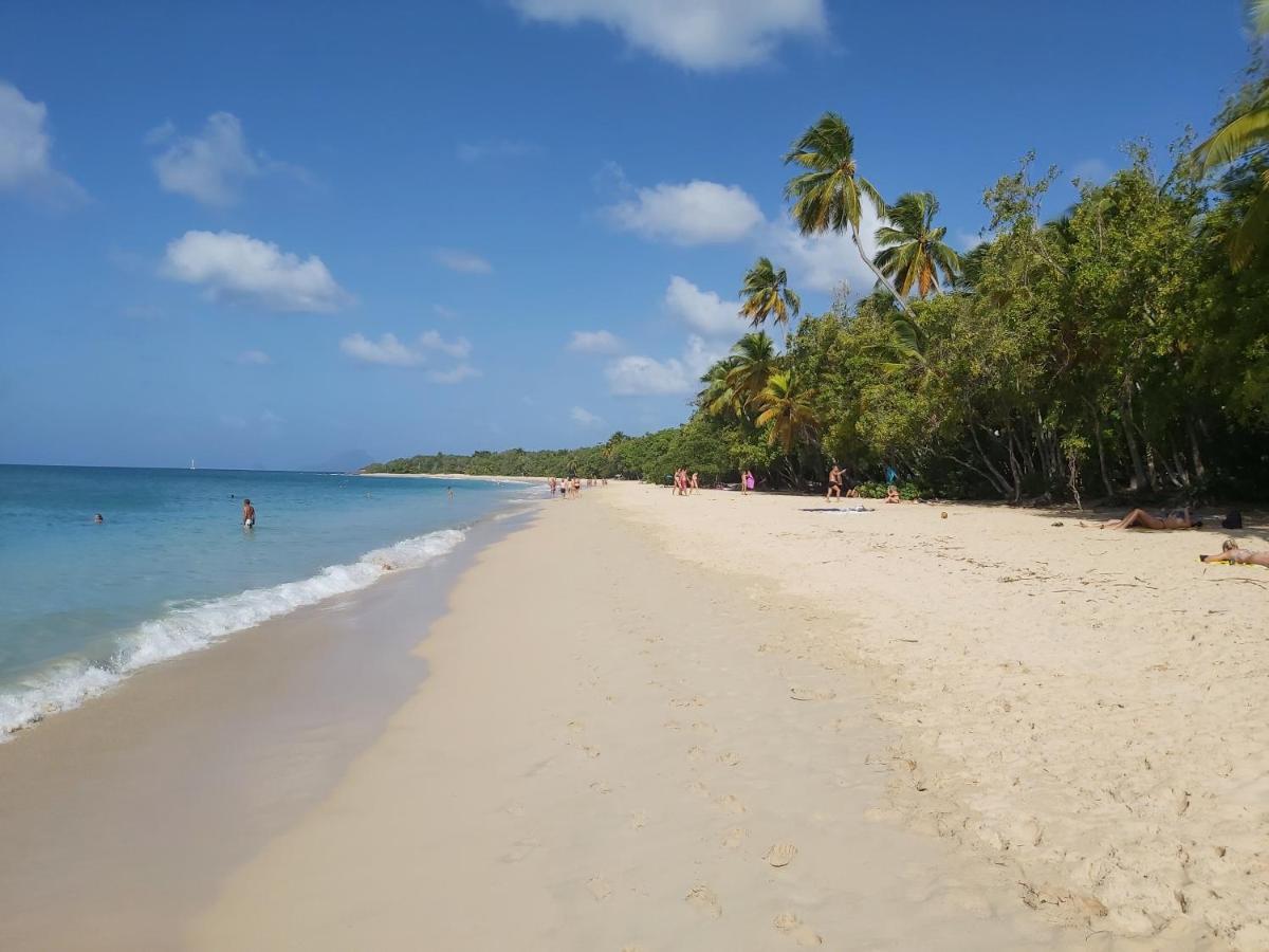 Appartement Face A La Marina Du Marin Martinique Le Marin 외부 사진